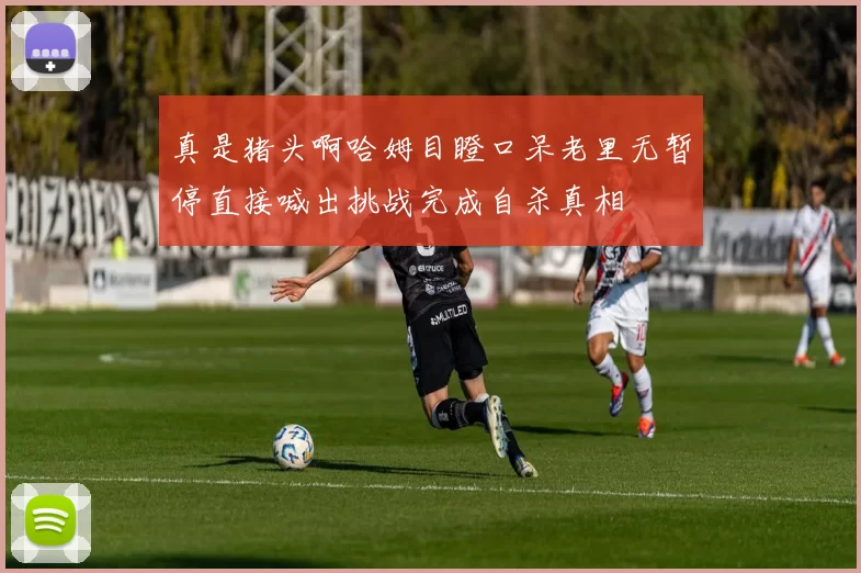 真是猪头啊哈姆目瞪口呆老里无暂停直接喊出挑战完成自杀真相